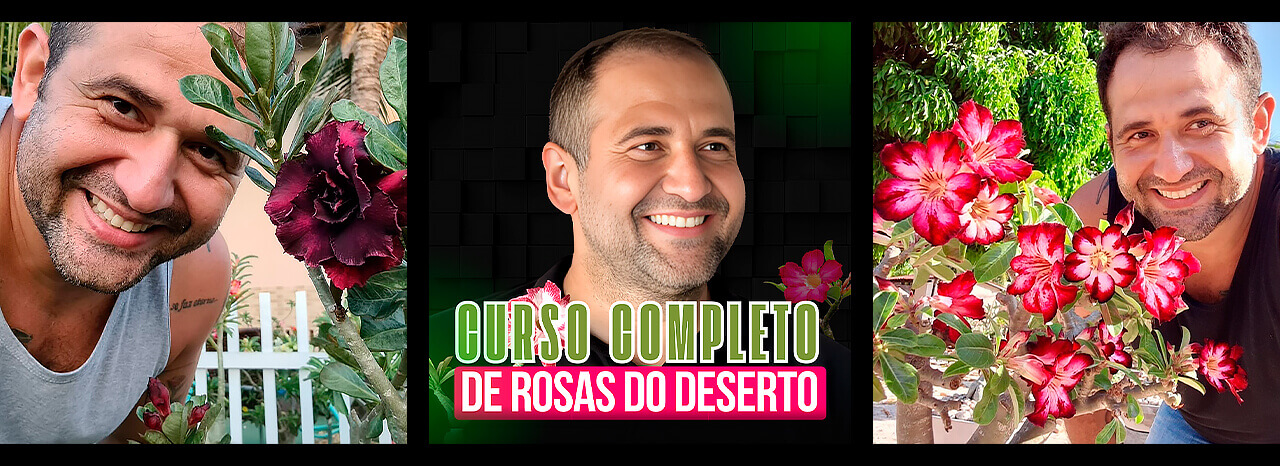 CAPA-DESKTOP